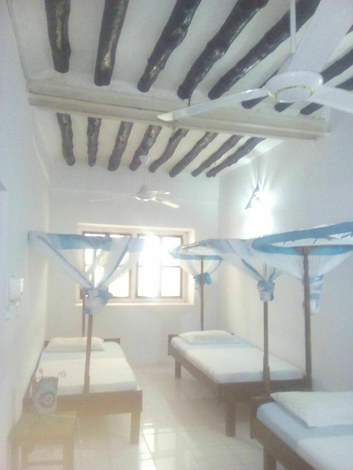 Zanzibar Kiponda B&B المظهر الخارجي الصورة